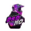 nono_drd25