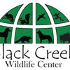blackcreekwildlife