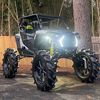 witt_crow318