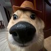aboogiewitafedora
