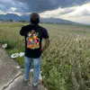 dwibolank