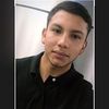 hugopalomino.h