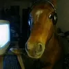 romildodossantos0