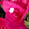 xuxubeleza201