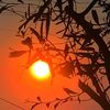 _cielo_224