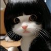 alyyueo0