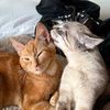 heckiesmom