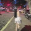 netipelasor