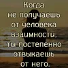 user13bmnxn76v