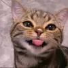 KR ZA