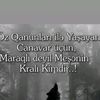 nizamiquliyev145
