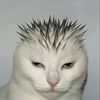 saturnismeh