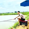 sonngocha6