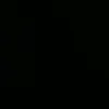 shadi_4555