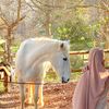 withkhayr