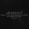 ahmedaelrayes7