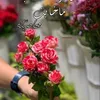 userrnm7bg76e9