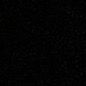 nobodyk1569