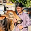 zohaibullah3662
