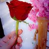 huda___2