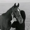 t.h8_a