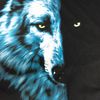der.wolfen.baron