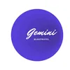 Geminiblogig