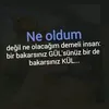 pino_2424