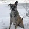 slimmcginn