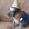 capybaracobamah