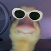mrgayman6000