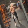 vava_le_tarba