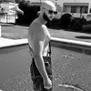 jcshslife