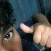 ddzinpzz