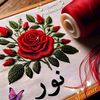 noorbader07