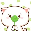 naju.88