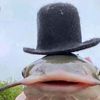 maxinguimax