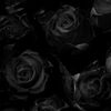 ._thatone