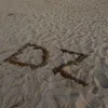 r94dz