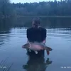 karpiowykacpernakarpiach