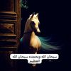 سميحه الاسمري