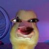 andyypernadi_