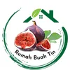 rumahbuahtin