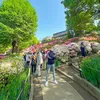 kumachan20