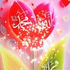 user2250045306172