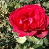 user3kol2ugn07