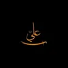 h_a_s_066