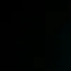 waldi_11