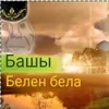 pozav304