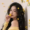 camnguyen20172019